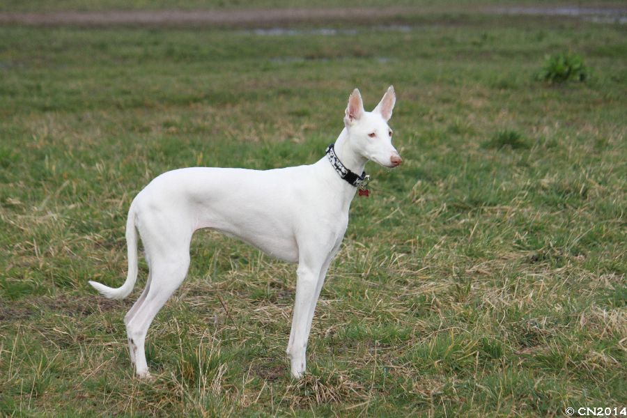 900_IMG_8889.jpg