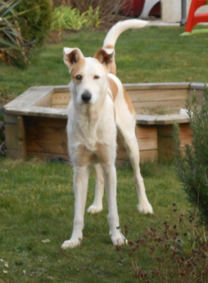 Rocky 007.JPG