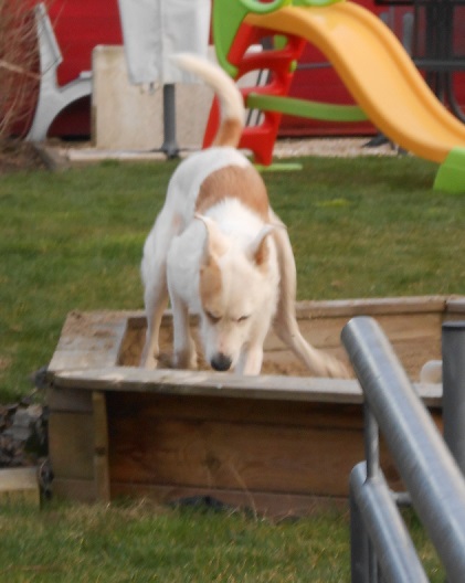 Rocky 012.JPG