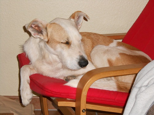 Rocky 022.JPG