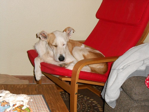 Rocky 023.JPG