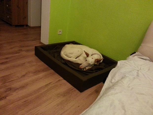 20140304_013808.jpg