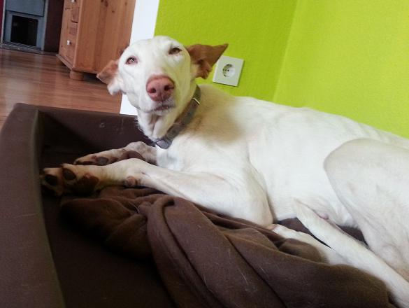 20140304_124733.jpg