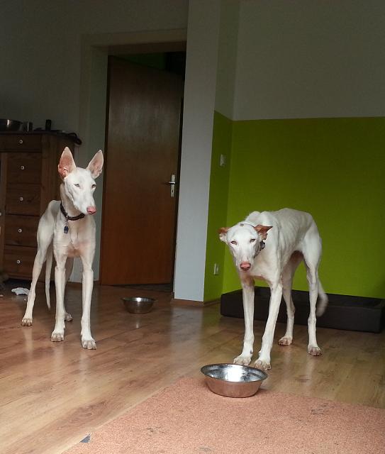 20140305_142007.jpg