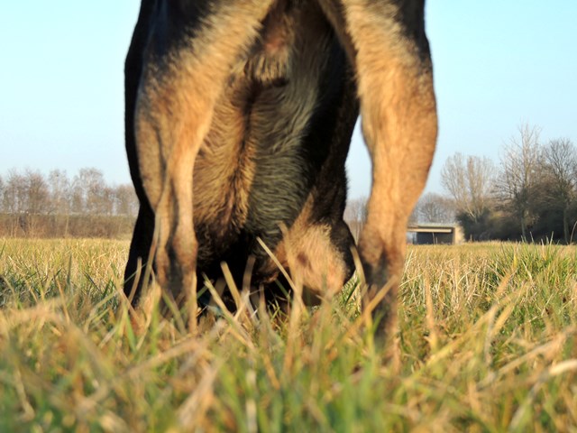 DSCN7185.JPG