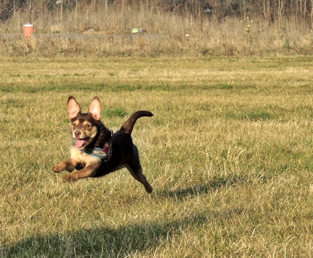 DSCN7132.JPG