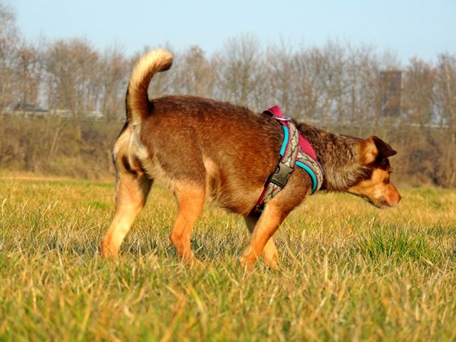 DSCN7141.JPG