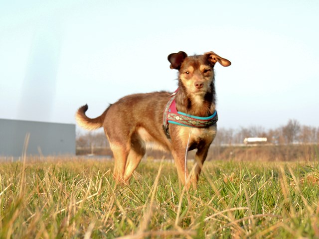 DSCN7197.JPG
