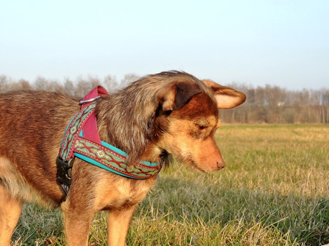 DSCN7205.JPG