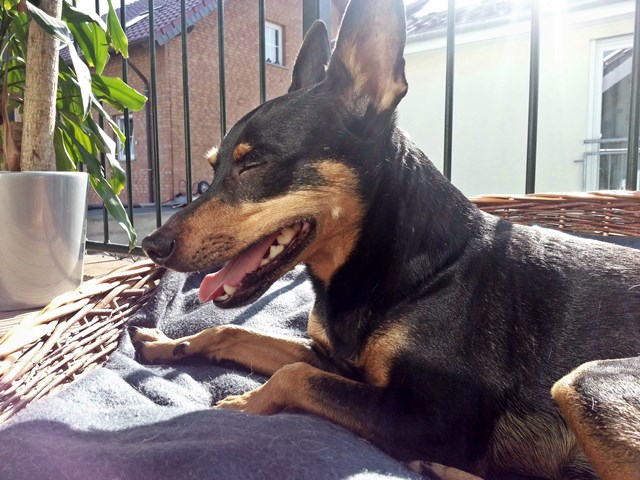 20140308_141027.jpg