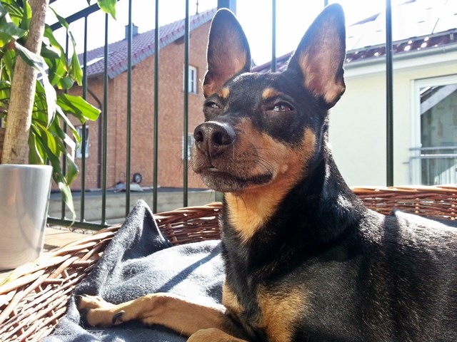 20140308_141040.jpg