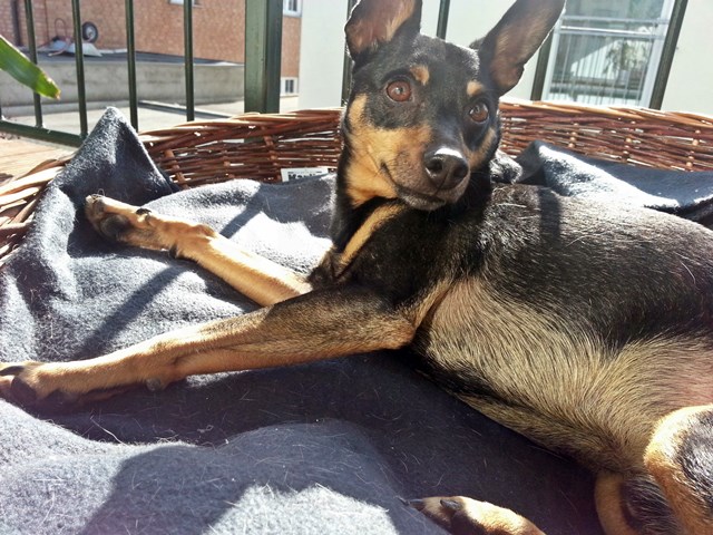 20140308_141124.jpg