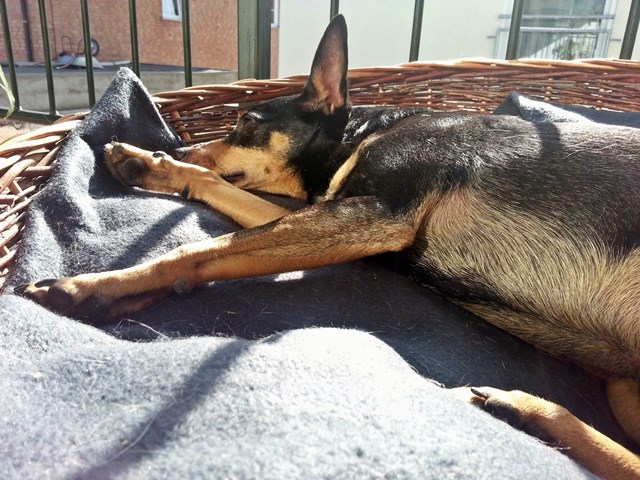 20140308_141134.jpg