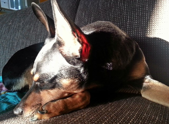 20140308_171022.jpg