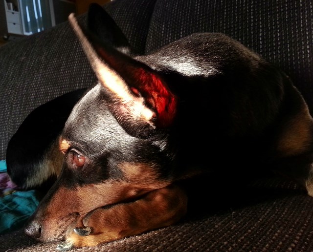 20140308_171100.jpg