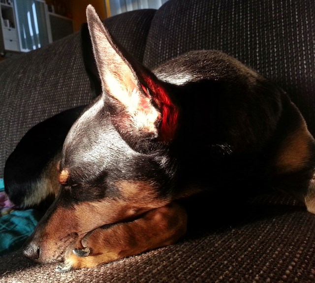 20140308_171103.jpg