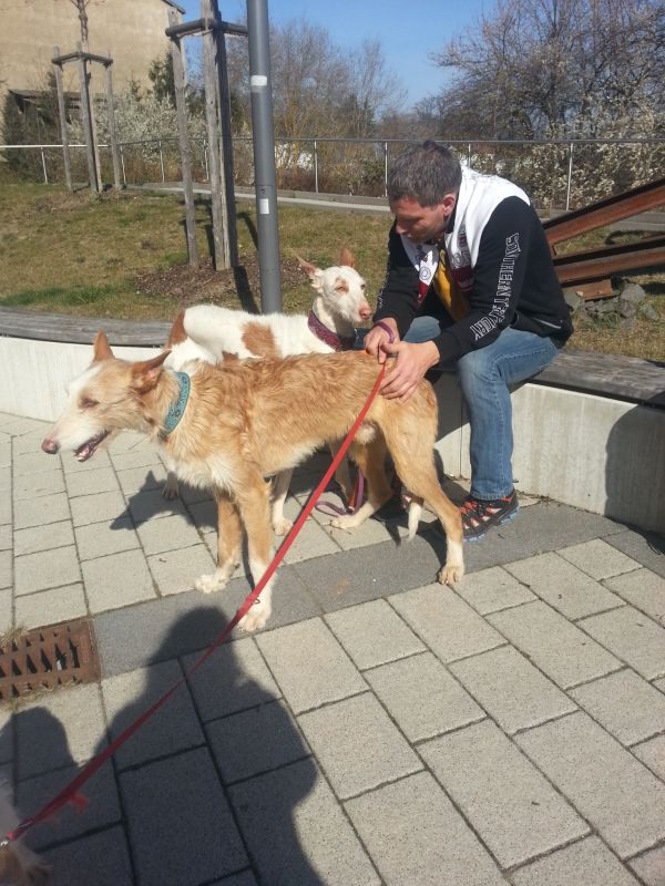 20140309_133230.jpg