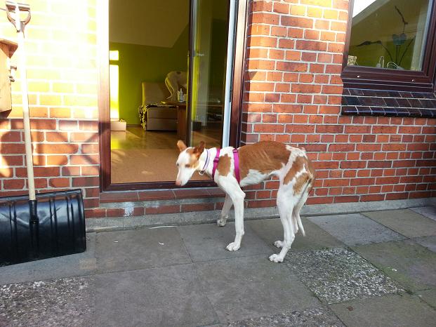 20140311_163550.jpg