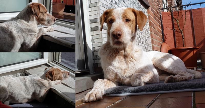 Balkon_klein.jpg
