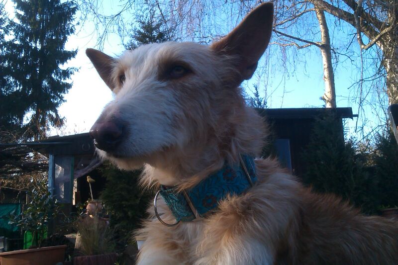 IMG-20140313-WA003.jpg