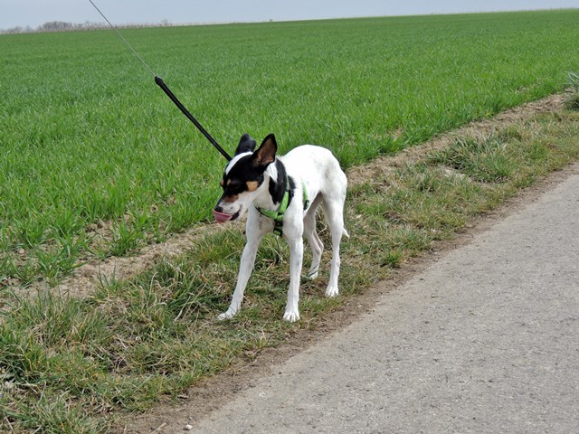 DSCN7359.JPG