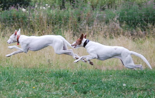 DSC_0007.jpg