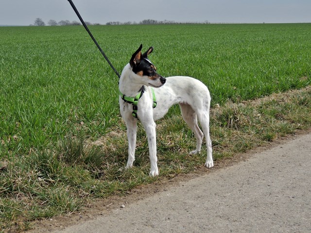 DSCN7360.JPG