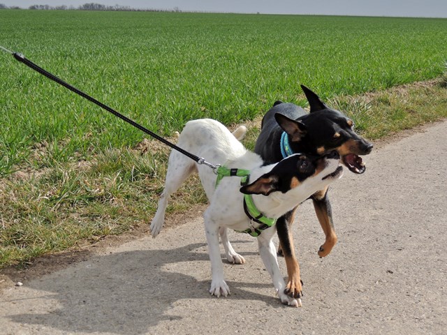 DSCN7364.JPG