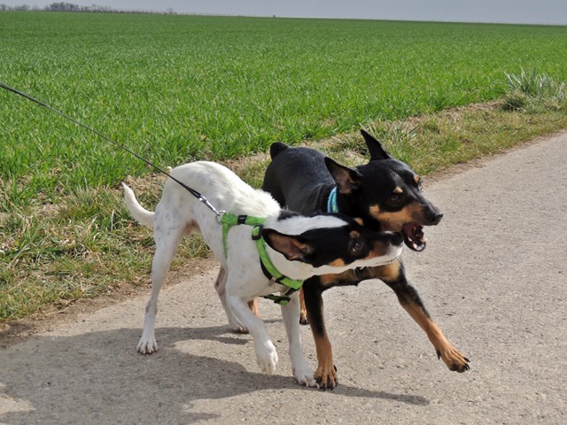 DSCN7365.JPG