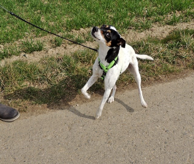 DSCN7366.JPG