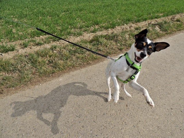 DSCN7370.JPG