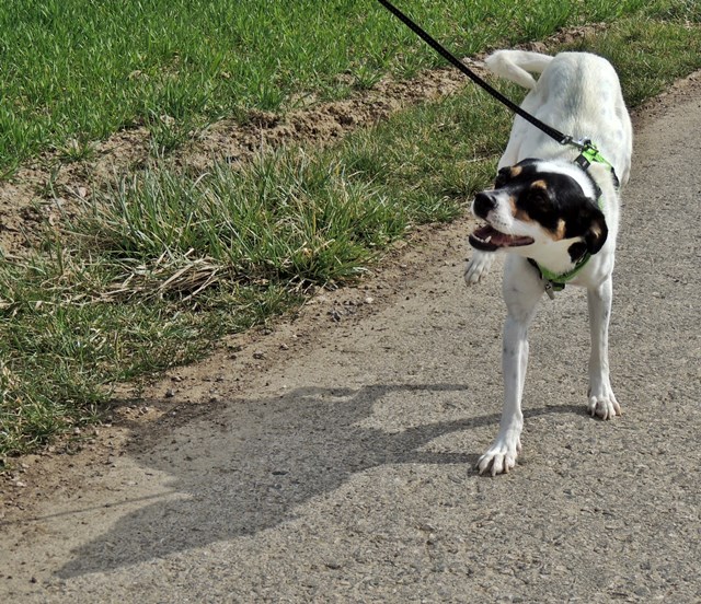 DSCN7376.JPG