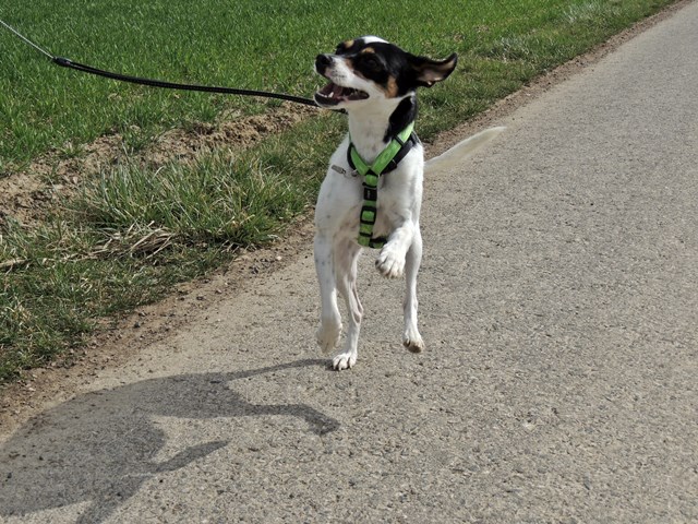 DSCN7377.JPG