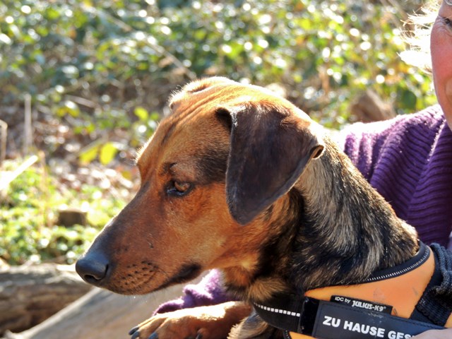 DSCN7483.JPG
