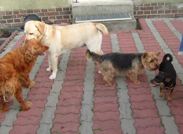 Nena mit allen.jpg