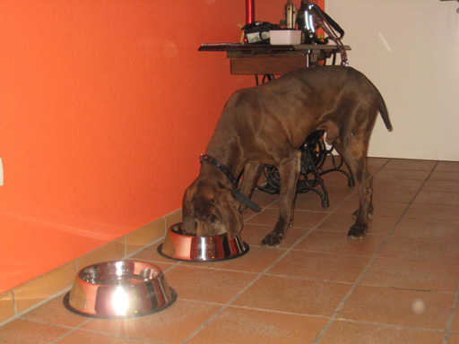 06-Das erste Futter3.jpg
