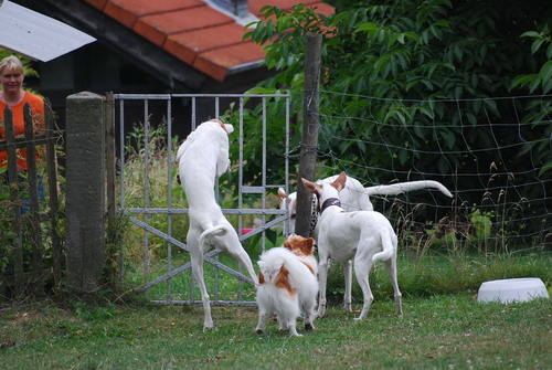 DSC_0012.jpg