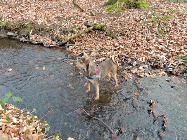 DSCN7280.JPG