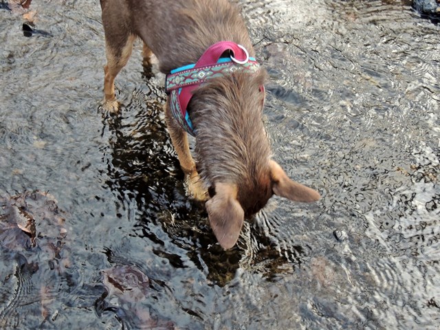 DSCN7287.JPG