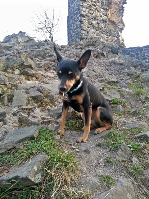 20140319_180251.jpg
