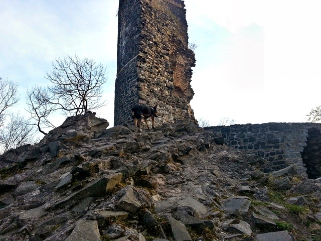 20140319_180346.jpg