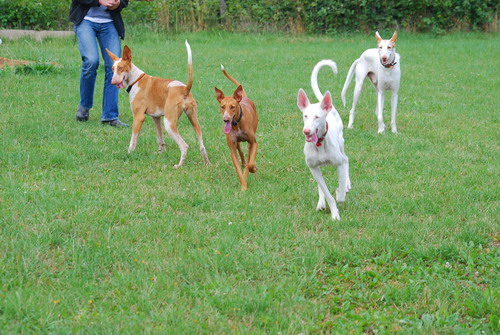 DSC_0062.jpg