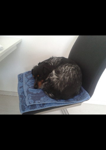 20140321_092038.png