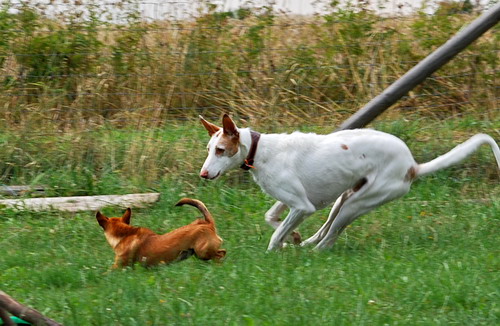 DSC_0053.jpg