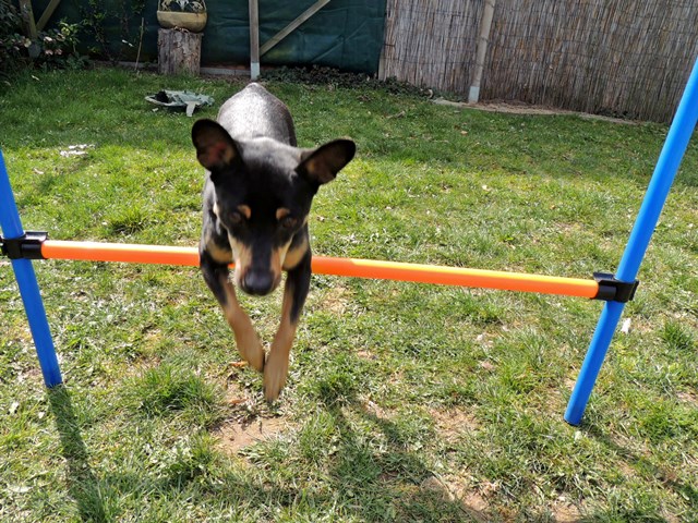 DSCN7681.JPG