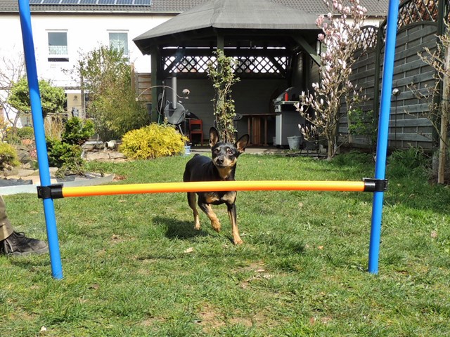 DSCN7684.JPG