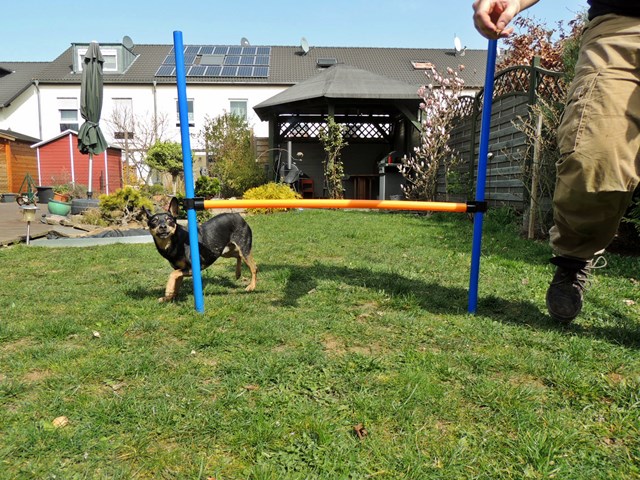 DSCN7698.JPG