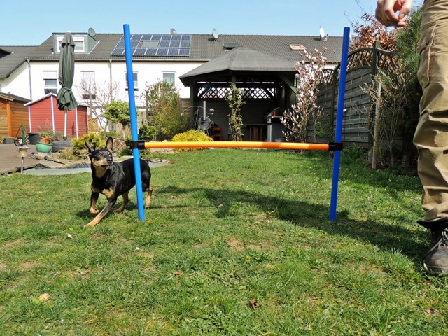 DSCN7699.JPG