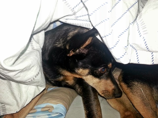 20140327_061828.jpg