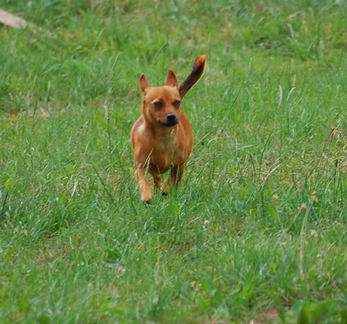 DSC_0054.jpg
